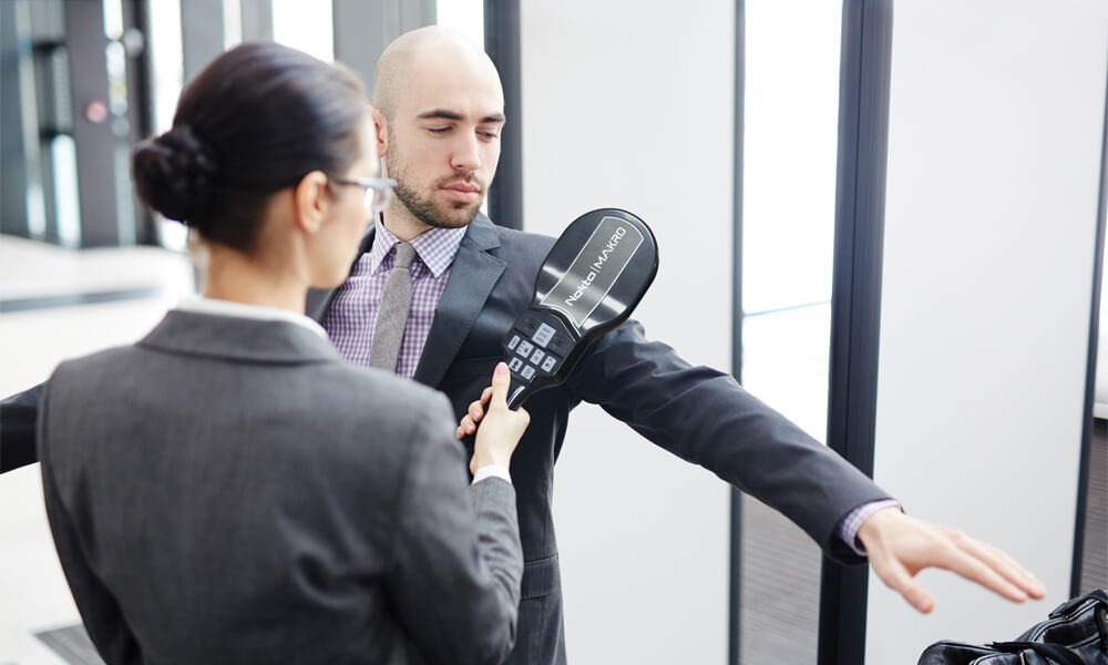 Nokta|Makro NMS30 Handscanner